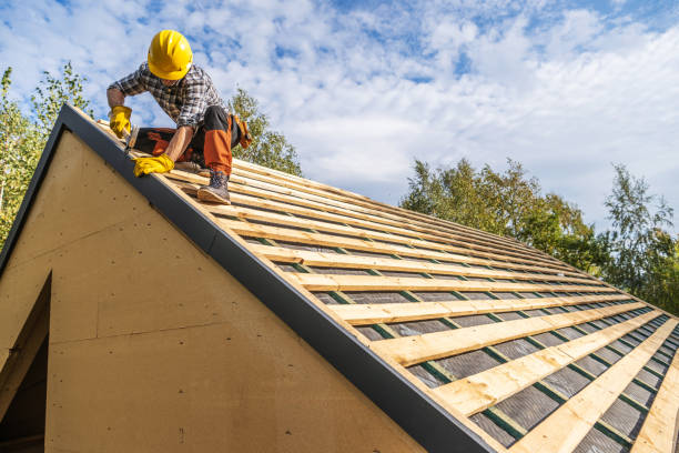 Best Roof Gutter Cleaning  in Lake Wynonah, PA